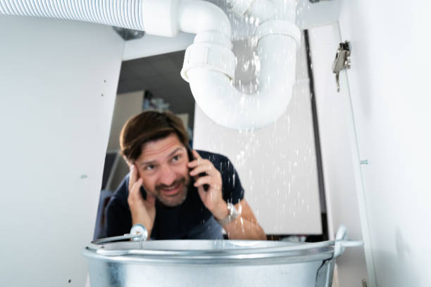 Best Sewer Line Repair  in Ceresco, NE