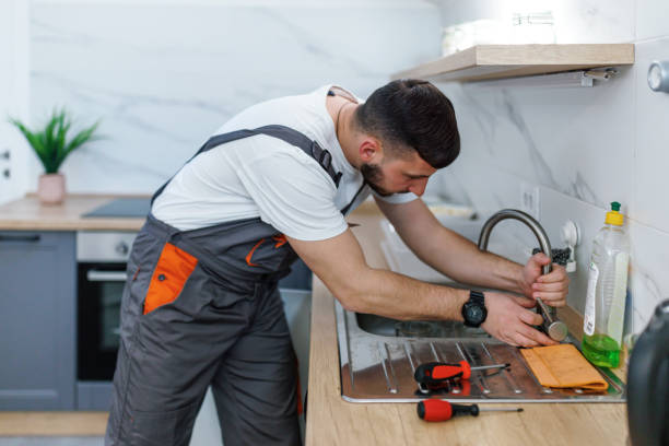 Best Best Plumbers Near Me  in Ceresco, NE