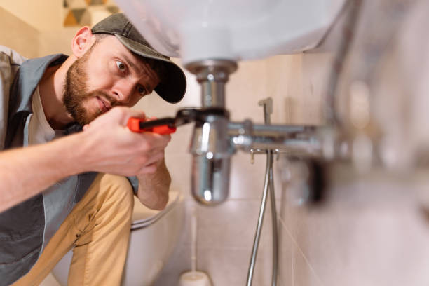 Best Leak Detection Services  in Ceresco, NE