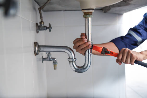 Best Plumbing Services Near Me  in Ceresco, NE